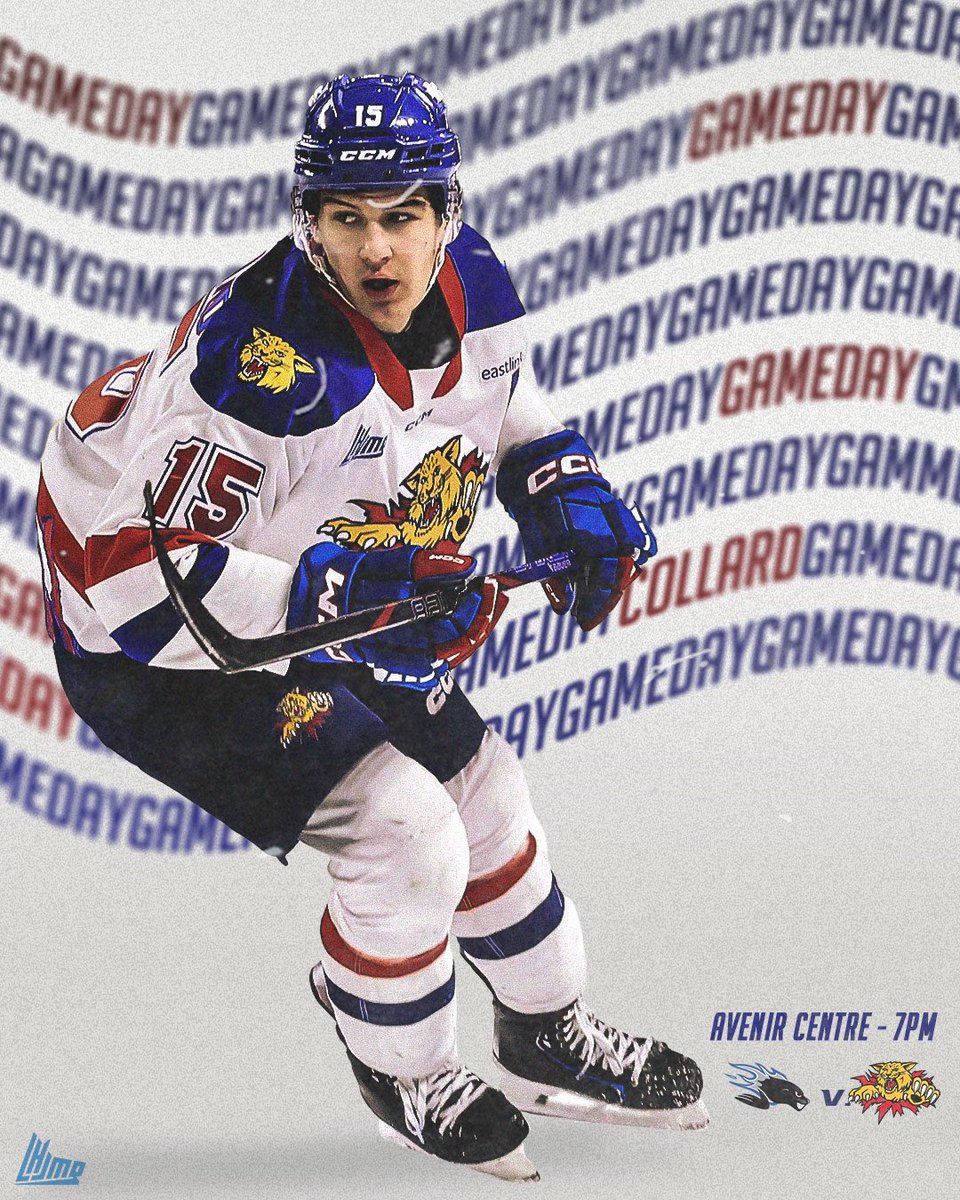 MonctonWildcast's tweet photo. πΎπΈππΌπ»πΈπ
The Wildcats are back home tonight as they take on the SeaDogs looking for a dozen in a row
β° - 7:00pm
π» - https://t.co/AHqz7IRAye
π - πΌπ«ππ£ππ§ πΎππ£π©π§π
#ANewEra #DefendTheDen #JGS #JoinTheHunt #SJvsMON
πΈ - @DanielStLouis https://t.co/DIf14fJXSp