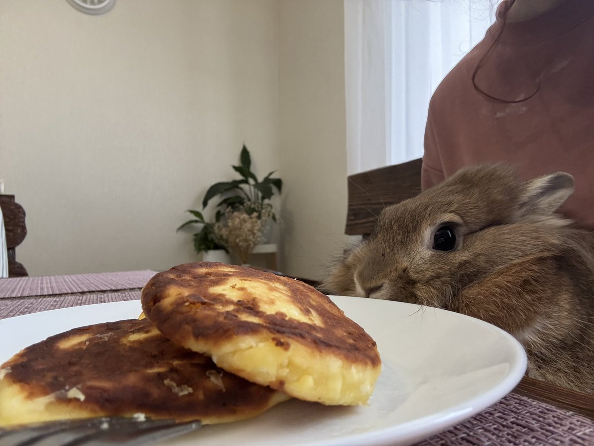 liswley's tweet photo. сидим с дурилкой https://t.co/jCzOzJRPed