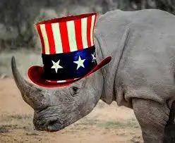 robbycarr20's tweet photo. @JasonWhiteMS Uncle Rino just doing what he does! https://t.co/fRswuKTwNU