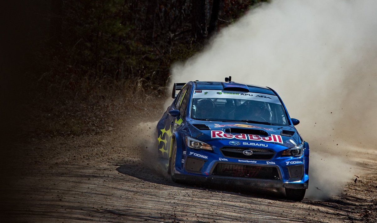 Rally in the 100 Acre Wood tweet media