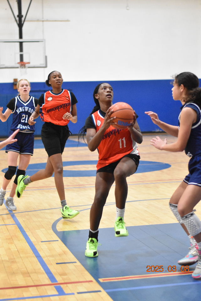 girlzprepreport's tweet photo. Just dropped 2029 Super Watch-The Guards #SimmieColsonClassic https://t.co/ciX13pGwqK @EllieMaeLester @phoenixselect @kwhoops_gbb @Caroline_Tipp @GracieGille25 @HoustonLadyNets #AddisynHunter @KendallPenright  @PGHTexas @PrepGirlsHoops https://t.co/YVJw4vLKHC