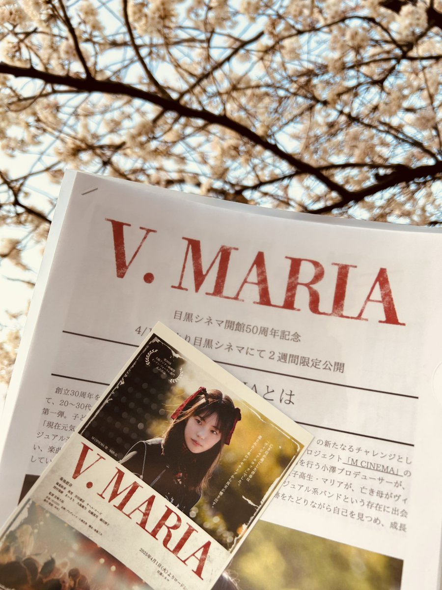 タイザー tweet media