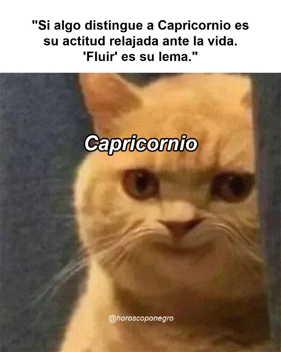 Jamás 😂