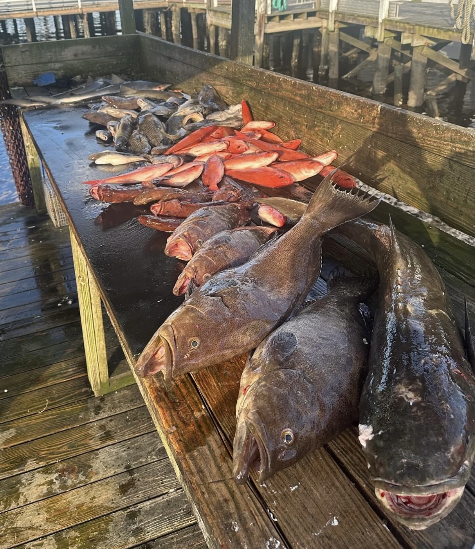 North Myrtle Beach Fishing Charters tweet media