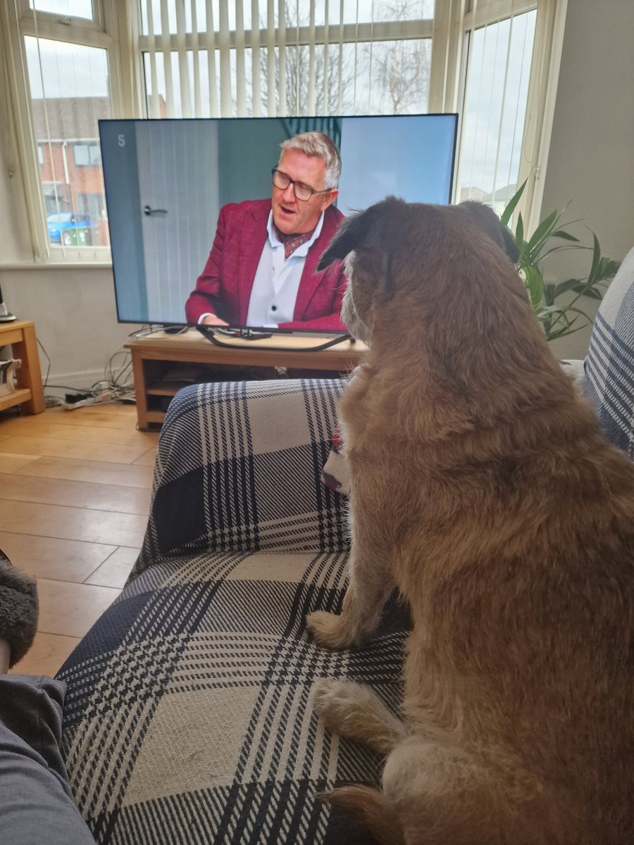 Penny sister of Lily 🌈 (@croston2croston) on Twitter photo Watching <a href="/GraemeDogfather/">Graeme Hall</a> teaching norty dogs to be good. Waiting for Mummy to give me a treat for not barking at the doggies. Watching <a href="/GraemeDogfather/">Graeme Hall</a> teaching norty dogs to be good. Waiting for Mummy to give me a treat for not barking at the doggies.