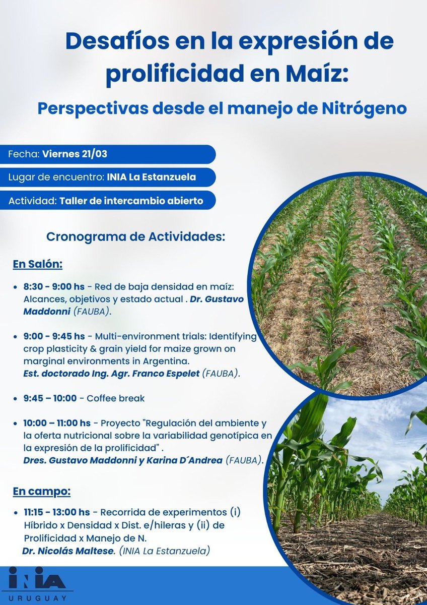 Maltese_Nico's tweet image. Taller de intercambio abierto en conjunto con equipos de investigación de FAUBA e INTA🌽
@INIA_UY