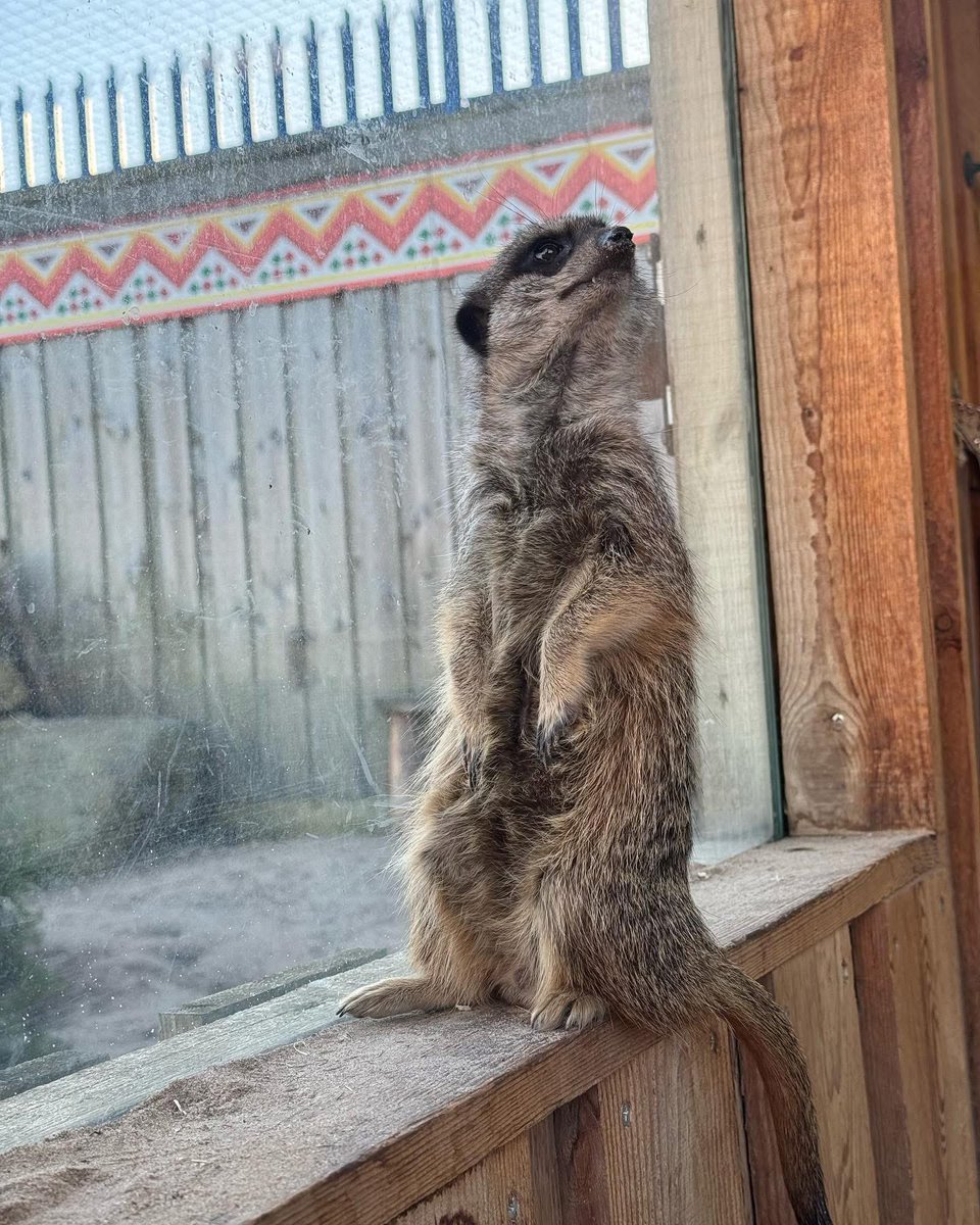 Are you an organisation looking for a group day out? We've got just the thing for you...

Our Group Booking prices are just £10 each for a minimum of 15 people! 🐠🐡

To book or enquire, email bookings@stockvale.co.uk today! 🌟