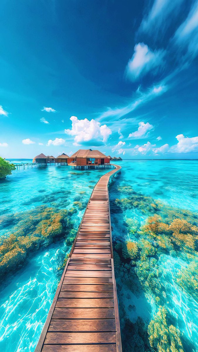 𝐌𝐚𝐭𝐭 𝐏𝐢𝐧𝐧𝐞𝐫 tweet media