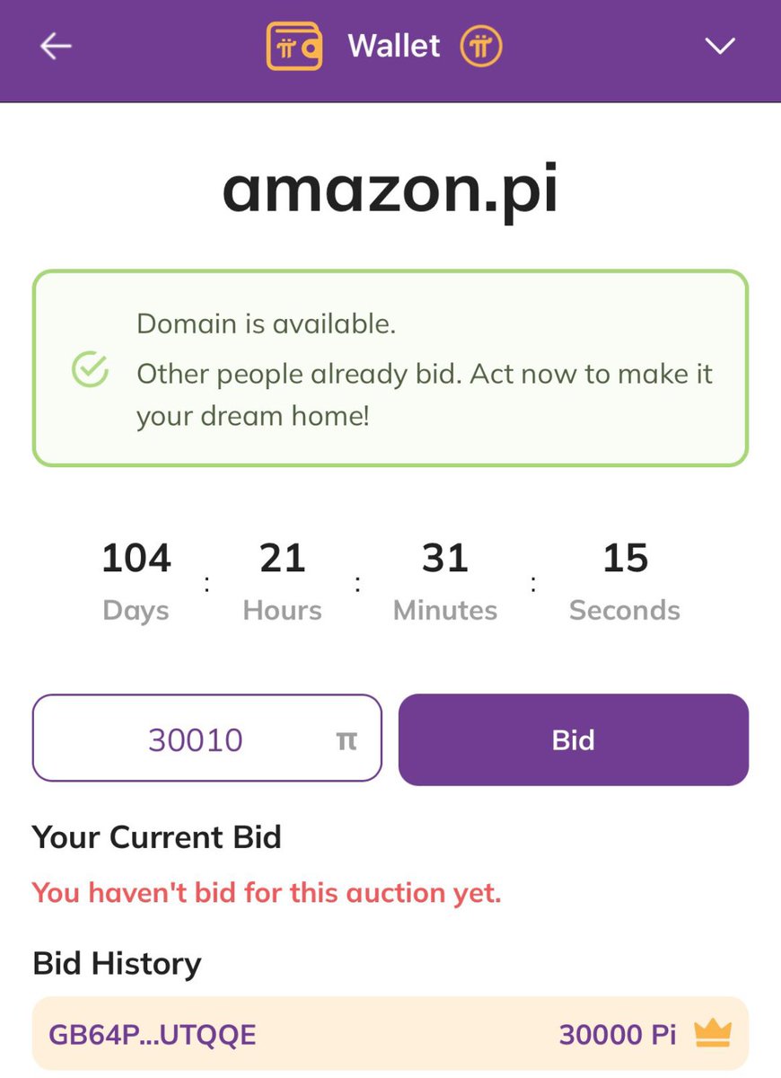 The domain for Amazon.pi is at 30010 bid  😀😀🖖🏼🚀🚀🚀
