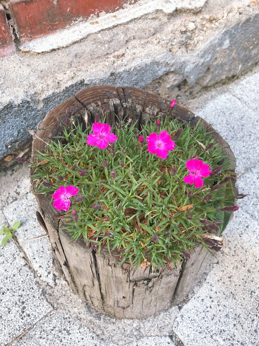 立春大吉 建陽多慶  

봄이 오니 크게 길할 것이요 
따스한 기운이 도니 경사가 많으리라  

점점 나른~~ 해지는 오후 정처없이 흘러흘러 
문득 고개드니 신세계 였으면 ㅎㅎㅎㅎ