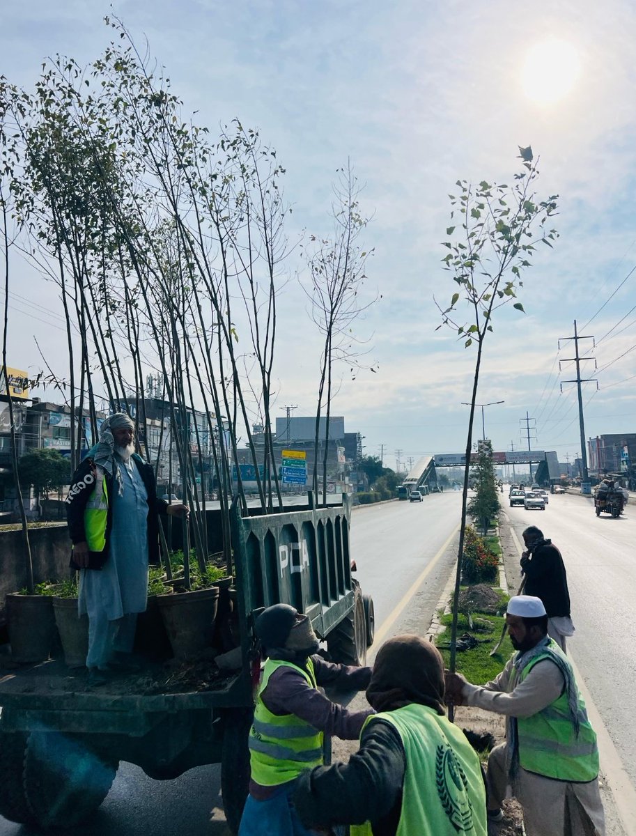 GovernmentKP's tweet photo. عمران خان کے گرین پاکستان وژن کے تحت بلین ٹری پلس مہم جاری! پشاور میں شہری شجرکاری کا عمل تیز، درجہ حرارت میں کمی اور ماحول کی بہتری کے لیے سبز مقامات میں اضافہ ناگزیر۔ 🌎 #BillionTreesPlus https://t.co/CyT04OoG6s
