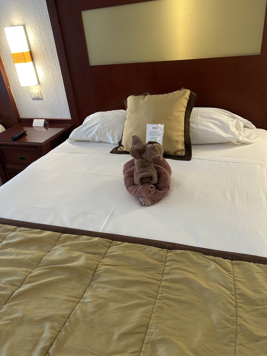 Dog 🐕 towel animal on bed 🛌 at Puerto Vallarta, Mexico 🇲🇽 hotel.