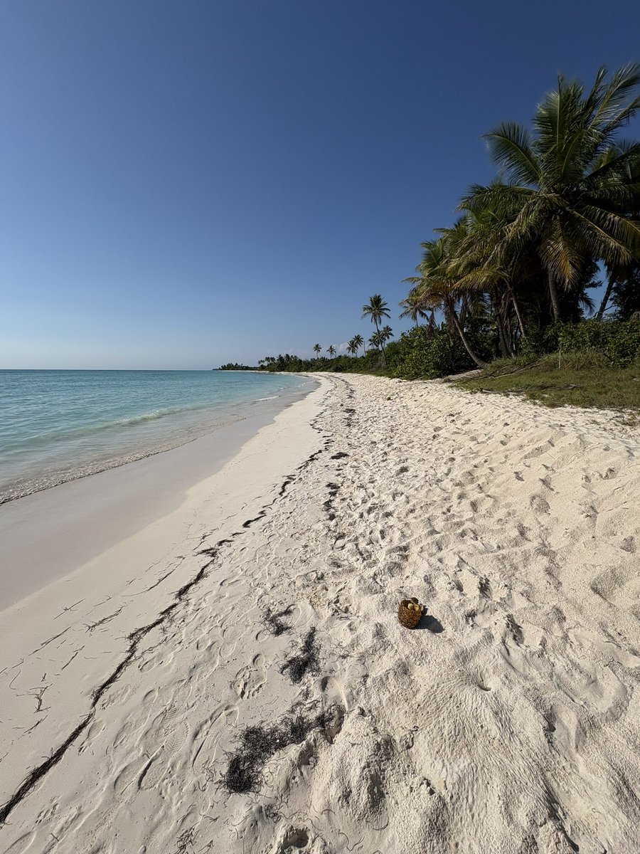 Isla saona 🇩🇴
Paraíso 🤩
