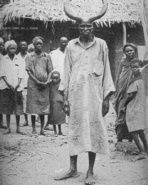 Bronze Giant tweet media