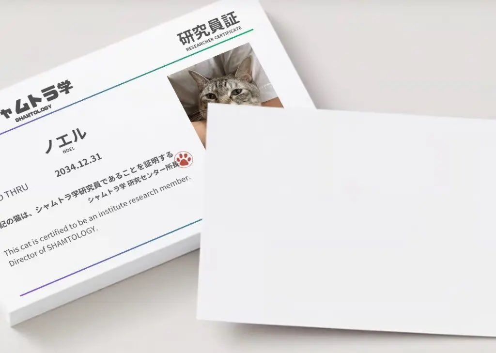 noenyaaan's tweet photo. シャムトラの「No.1 なでポイント」判明…シャムトラ学研究チーム発表

▼詳しくはこちら
https://t.co/JxmBi340AM

ご協力いただいたシャムトラのみニャさまに
感謝しますだぜ😺❣️

#シャムトラ学
#SHAMTOLOGY https://t.co/7AKaCH5GDD