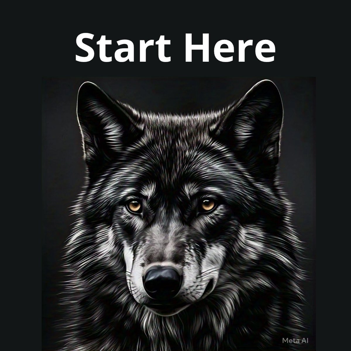 Wolf Drop tweet media