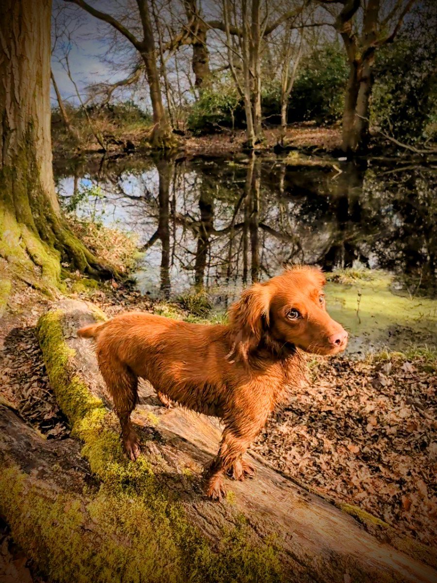 Springtime walk with <a href="/EricMarkowitz/">Eric Markowitz</a> &amp; <a href="/bogumil_nyc/">Bogumil Baranowski</a> on Talking Billions and then <a href="/EricMarkowitz/">Eric Markowitz</a> with <a href="/JMihaljevic/">John Mihaljevic</a> &amp; <a href="/ElliotTurn/">Elliot Turner</a> on <a href="/twiii_podcast/">This Week in Intelligent Investing</a> 

🎧 open.spotify.com/episode/4BaP5A…

🎧 open.spotify.com/episode/6Ljx4O…