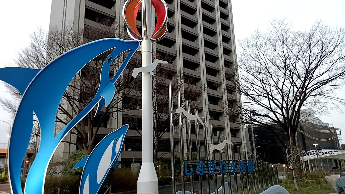 plus_pen17's tweet photo. #しながわ水族館を貸し切ってみた
参加させていただきました！
アルさんをはじめ、開催・運営してくださった方々、大変ありがとうございました
とても楽しかったです！！ https://t.co/2liWqeqhEw