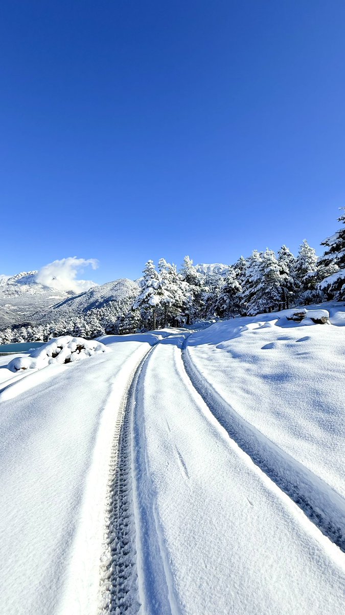 Montcalb, Solsonès 1428m 

<a href="/alexmegapc/">Àlex Van der Laan</a> <a href="/P4Estacions/">Projecte 4 Estacions</a> <a href="/meteocadi/">meteocadí</a> <a href="/MeteoGasso/">Marc Gassó Torrents</a> <a href="/MeteoGosol/">MeteoGósol</a> @eltempsTV3