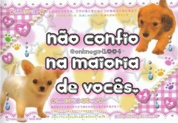 Mimi Patinhas🐾 tweet media