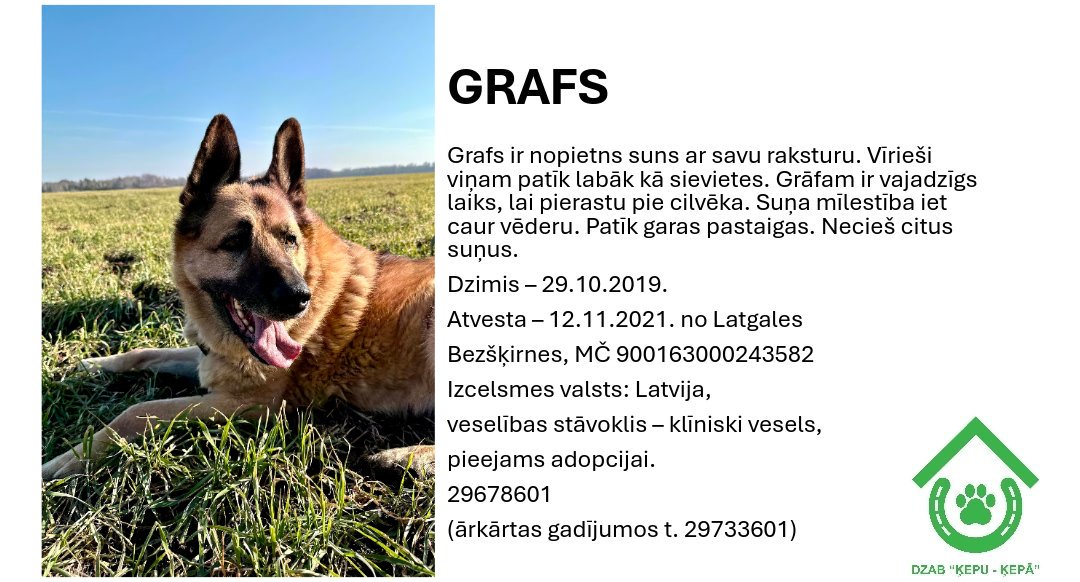 DzabKepa's tweet photo. GRAFS meklē mājas 💜🐶
📞 29678601 🐕🐾✨
#Grafs #dog #suns #meklēmājas #ķepuķepā #Ķepas #Kepa #animalshelter #rescue #saveanimals #animals #patversme #dzīvniekupatversme #LATVIJA #nepērcadoptē #adoptme https://t.co/YCQJK6MkBR