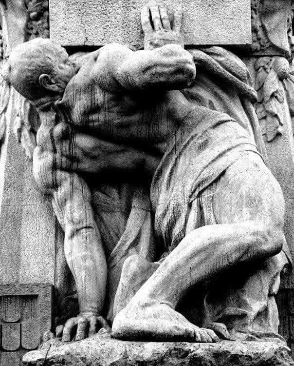 FORTIS CADERE, CEDERE NON POTEST.
“El fuerte puede caer, pero nunca rendirse.