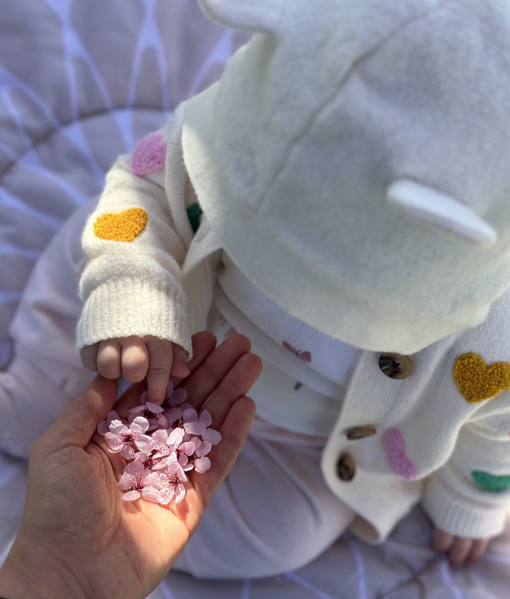 گفتین چند روز دیگه عیده؟🌸