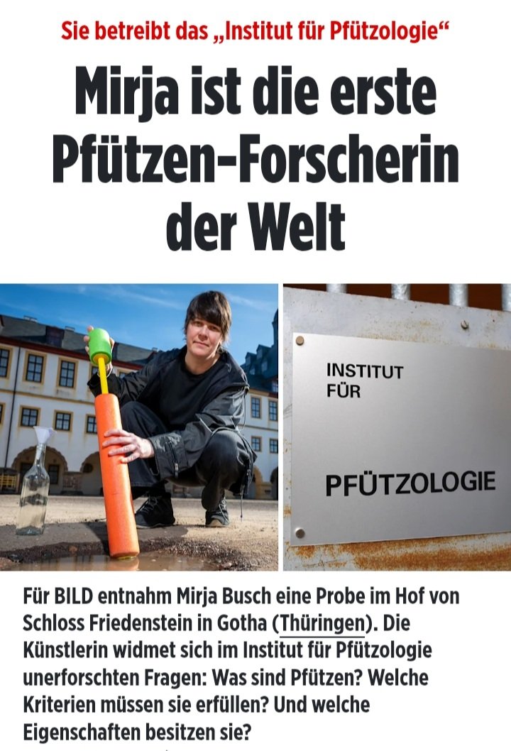 TineUndFiene's tweet photo. Oje wir leben ganz offensichtlich in Deutschland in der größten Freiluftpsychatrie der Welt. 🤦🤦‍♀️🤦‍♂️ https://t.co/USNG0AC3SP