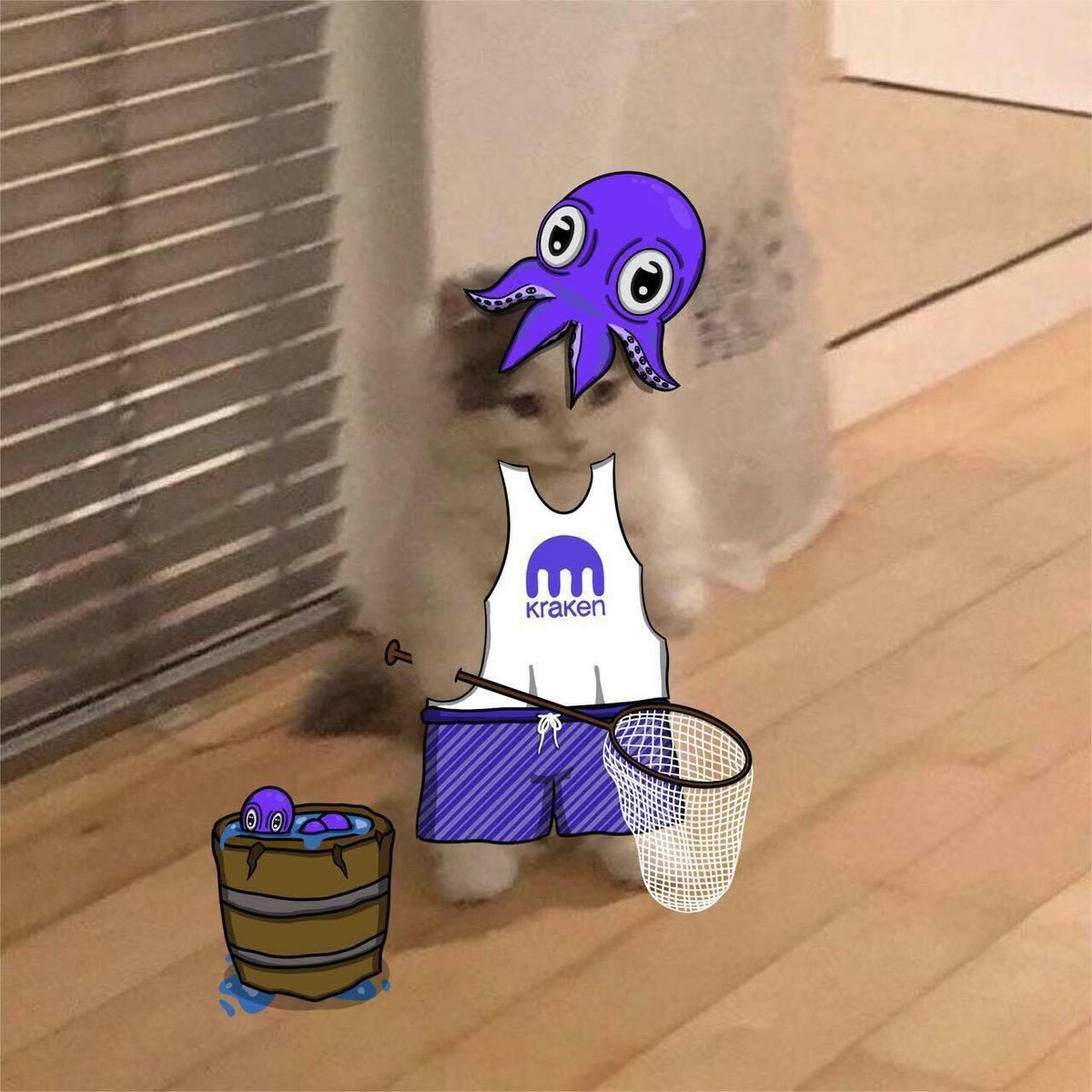 krakenfx's tweet photo. @jex_crypto https://t.co/b0Ksj3Gkua