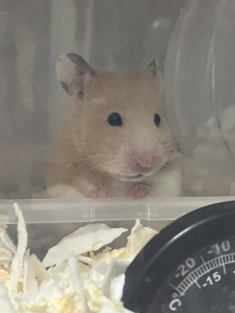 お風呂入ってるみたいだね♨️