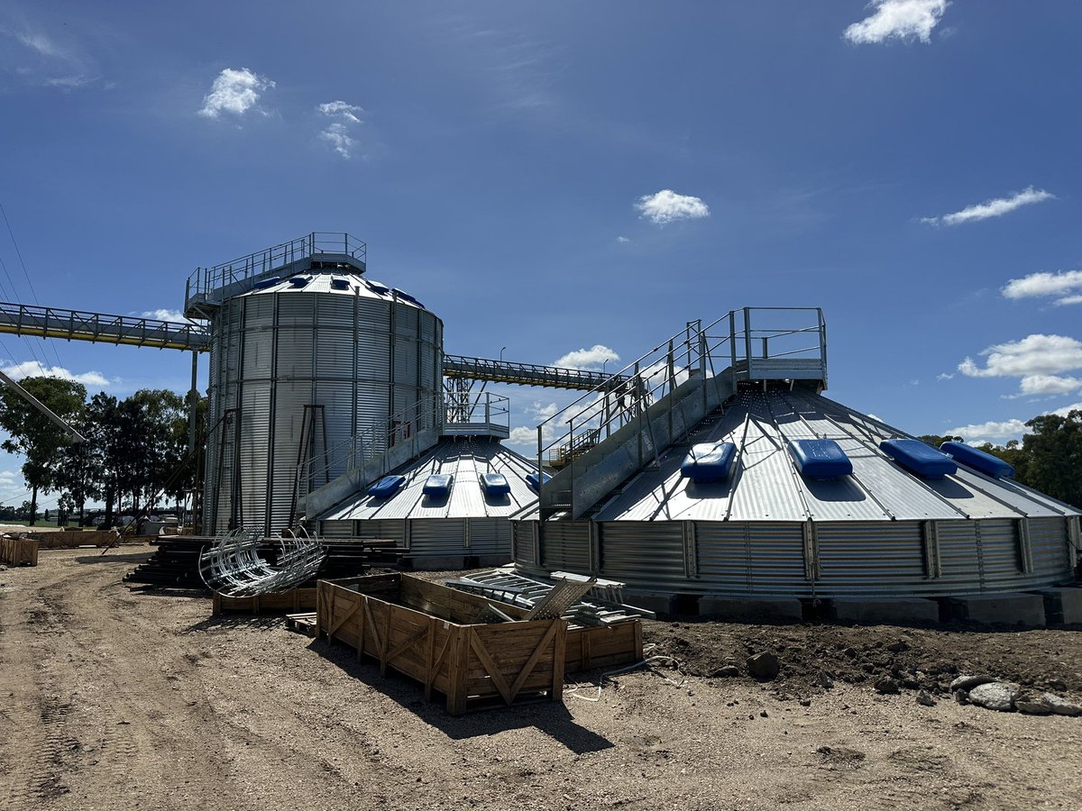 Greising y Elizarzú tweet media