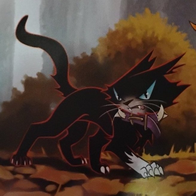Kittymeow516's tweet photo. Mischievous motherfucker https://t.co/cfwJo8s6BO