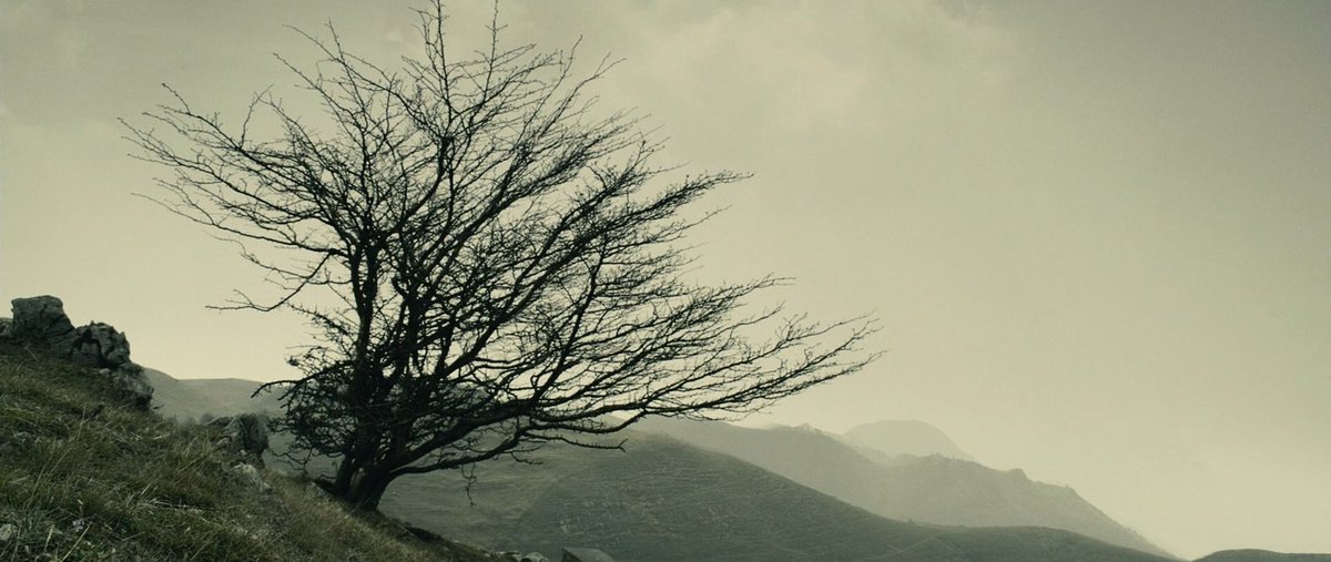 agvsfilm's tweet photo. "I cannot wait for you one year and one month. I cannot wait for you until you're 25. But I have waited for you my whole life."  

山楂树之恋 Under the Hawthorn Tree
dir. Zhang Yimou https://t.co/Re03PMmZK4