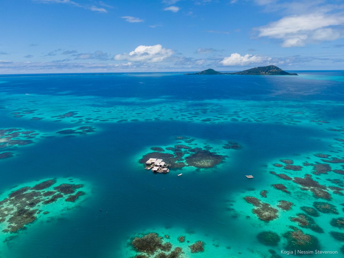 UNOceanDecade's tweet photo. Peter Burger, #OceanDecade Data and Knowledge Management Officer, outlines in @economistimpact why sharing ocean data is essential for both private and public ocean stakeholders. 

👉 Read: https://t.co/I1Enkoc14k 
👉 More on the Corporate Data Group: https://t.co/trQCECF7eP https://t.co/bOcmrvQcvb