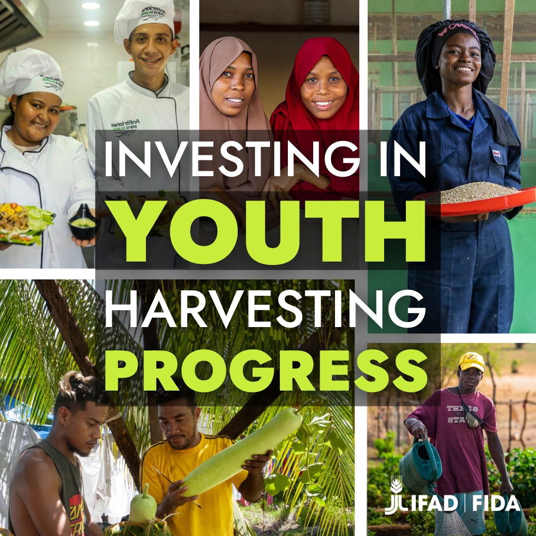 💡 🌱 Innovation starts with the next generation of small -scale farmers.

Investing in rural youth means supporting groundbreaking solutions for the world’s food security.

Let's harvest the benefits of their fresh ideas!