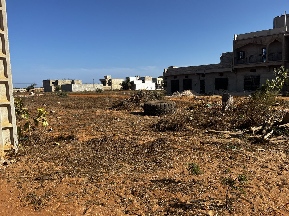 Mbedelectuel tweet media