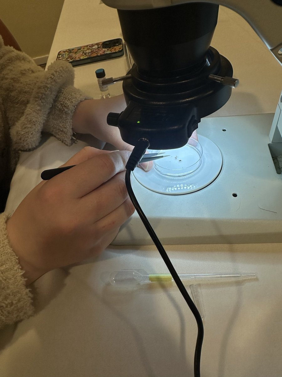 Erika Machtinger (inactive) tweet media