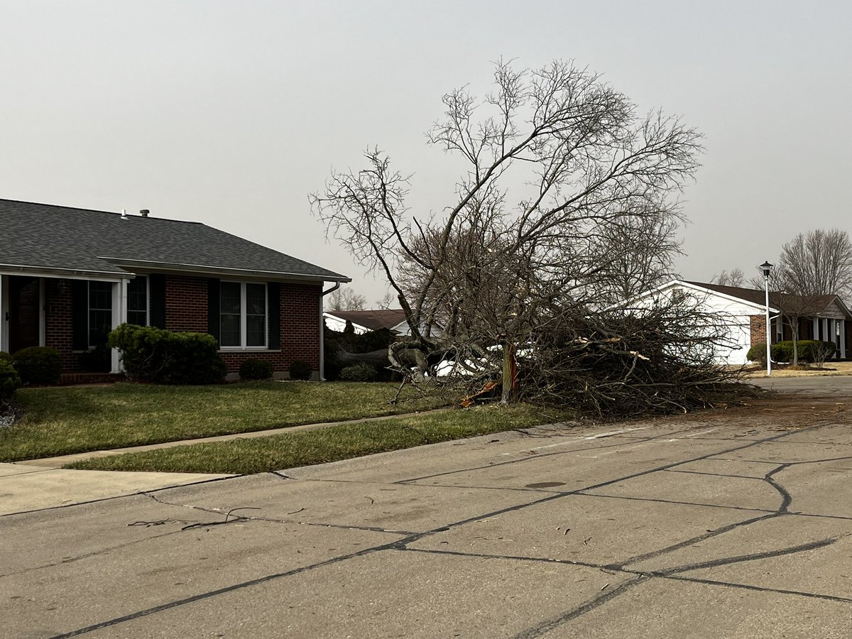 jdwachter's tweet image. Storm damage last night in our hood. Too close for comfort. Areas I walk. 1/10-7/10 from our house. Random kind of discriminate damage from house to house. Never heard that sound before coming from main level of house while in the basement. #stlwx #stlweather