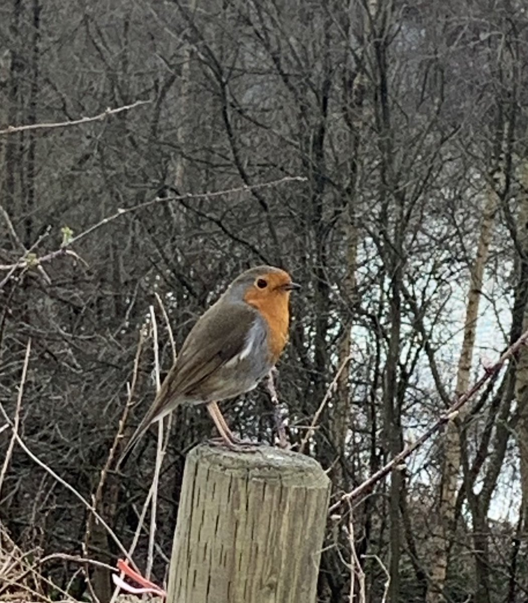 Caroline Jones tweet media