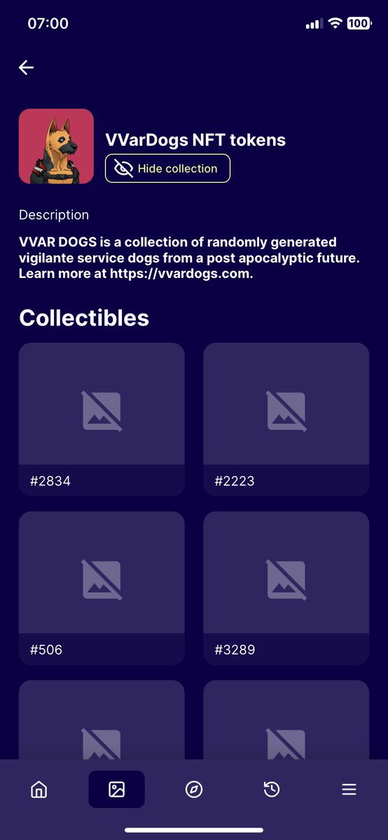 PUpsetter's tweet image. Oh @vechainofficial , my VVAR Dogs NFTs are pulling a Houdini in your app poof, gone! Cache cleared, wallet re-imported, still nada. Fix it before my pups sue for emotional distress!