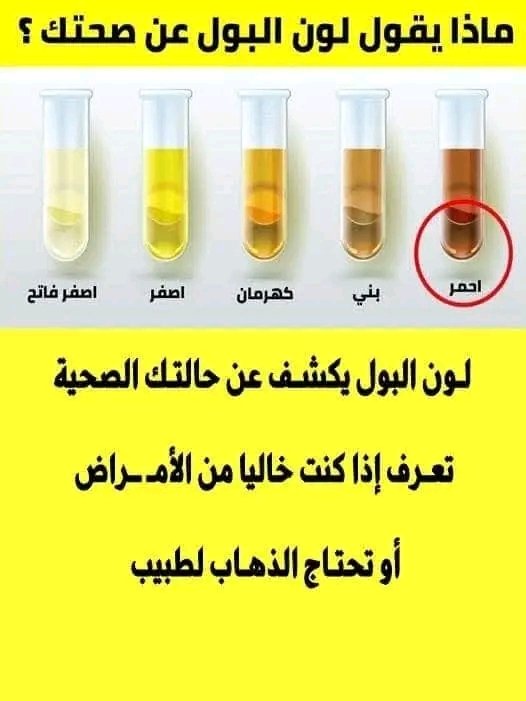 لون البـول يكشف عن حالــتك الصــحية تعـرف إذا كنت خاليا من الأمــراض أو تحتاج الذهاب لطـبيب 👉 اذكـر الله او تــم وتـابع التفـاصيل في اول تعلـ.ـيق 👇👇