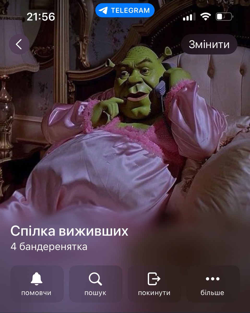 дисержайнер tweet media