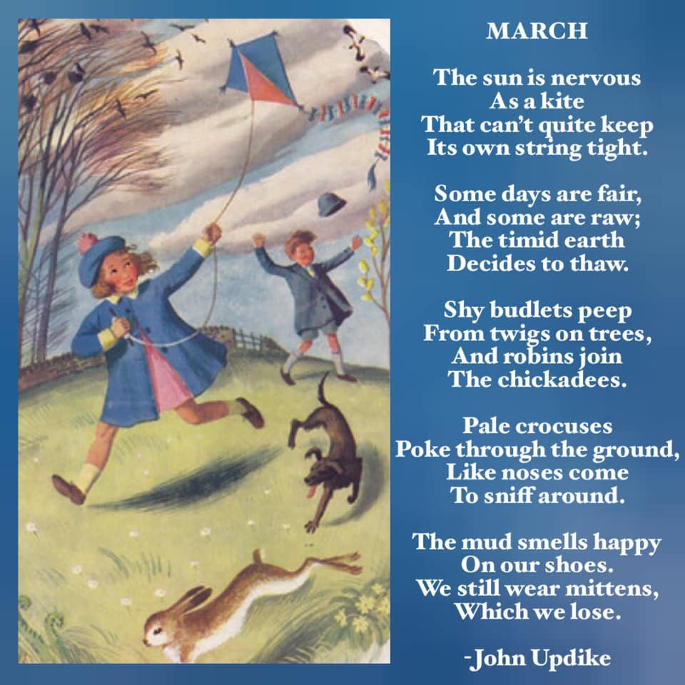 poetweet4's tweet photo. March is half over! Can you believe it?
Poem by John Updike, born March 18, 1932.
#poetrycommunity #spring #SpringInMarch #poets https://t.co/4FEJlEhJmz