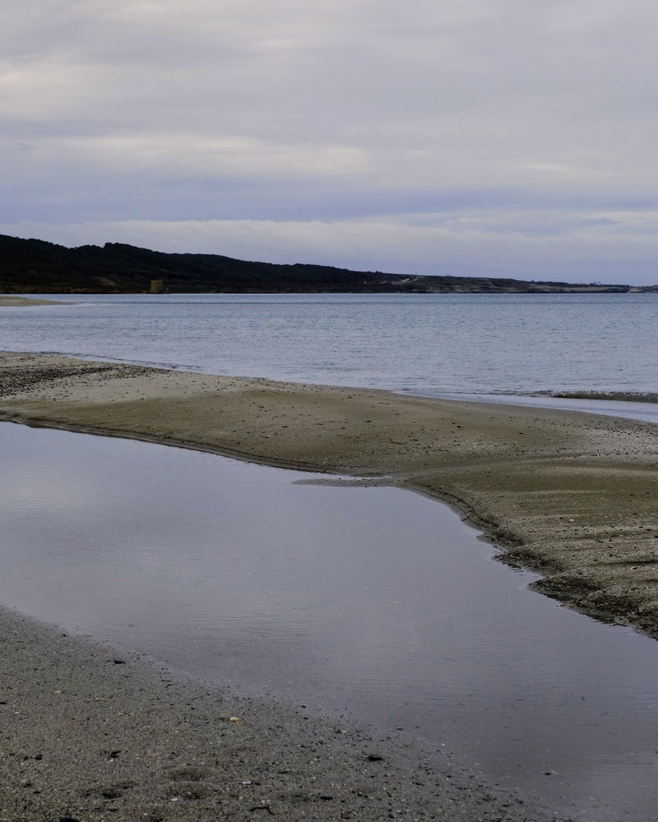 gavinobazzoni's tweet photo. Il mare d'inverno

#photography https://t.co/H4eIqbzLcQ