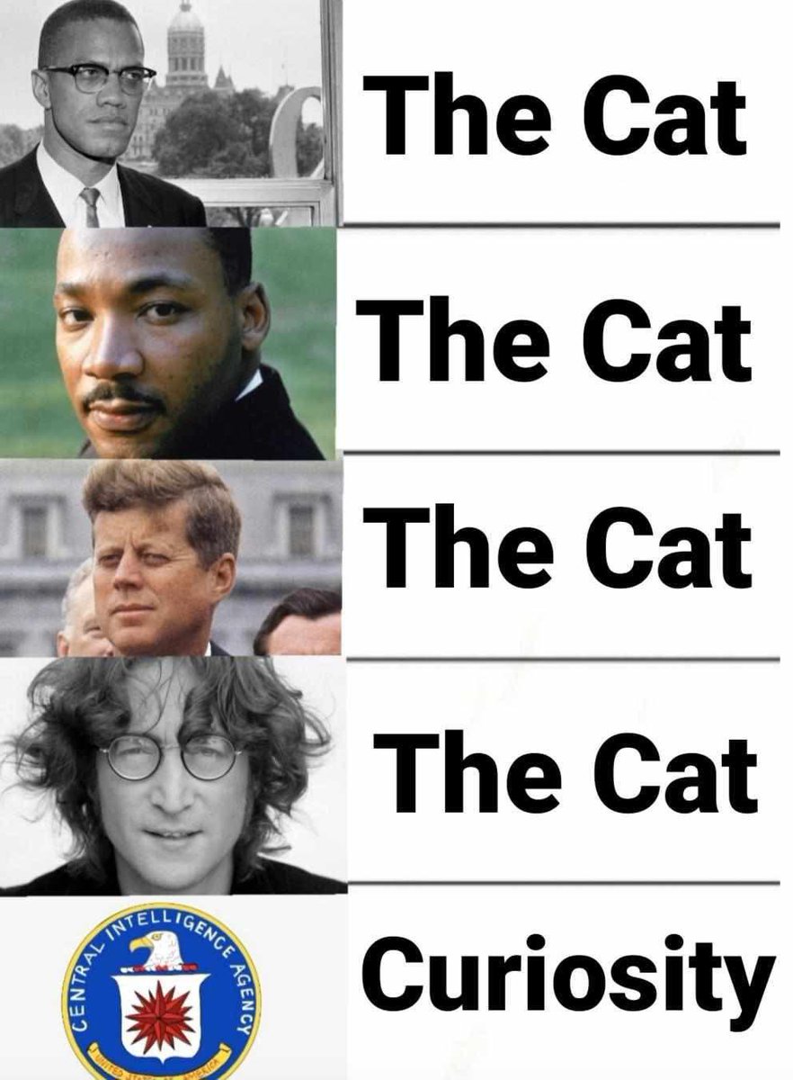 Rothmus's tweet image. Allegedly.