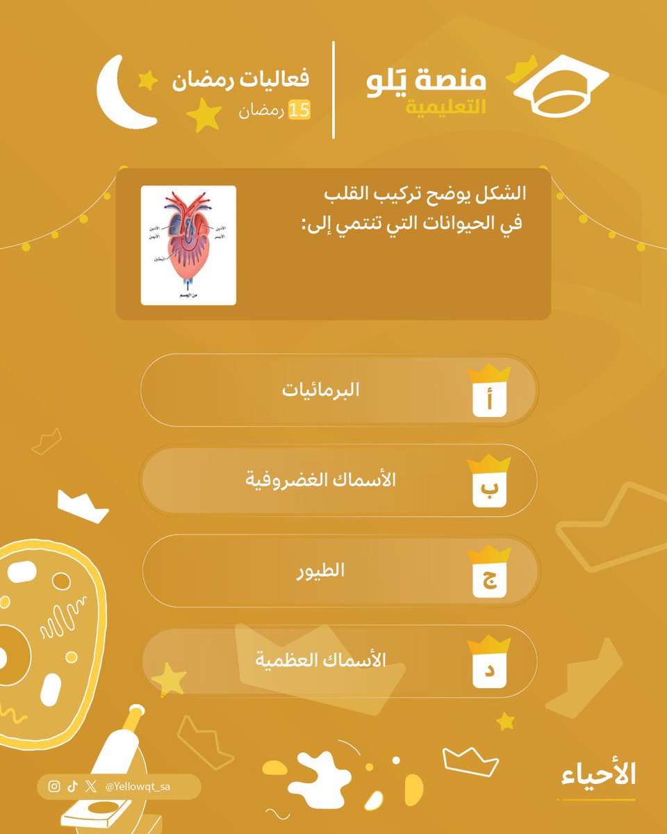 منصة يَلو التعليمية tweet media