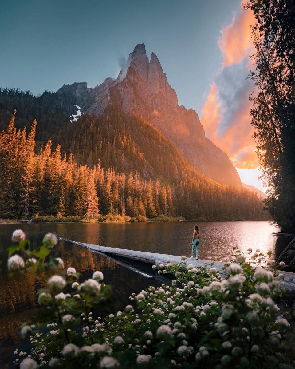 TaleofJourney's tweet photo. Blooms in the Cascade Mountains https://t.co/pS1sPdnS1w