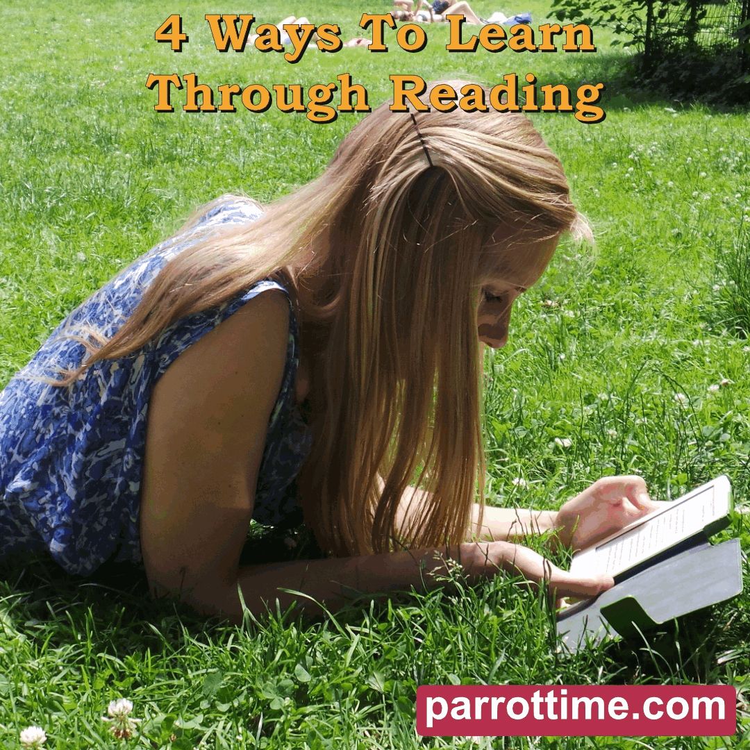 scriveremo's tweet image. 4 Ways To Learn Through Reading

Reading is the most basic skill to achieve in learning a language, but what are the best ways to practise? Guest writer Teddy Nee shares his advice.

rfr.bz/tc493cd

#parrottime #magazine #languagemagazine #languages #reading #teddynee