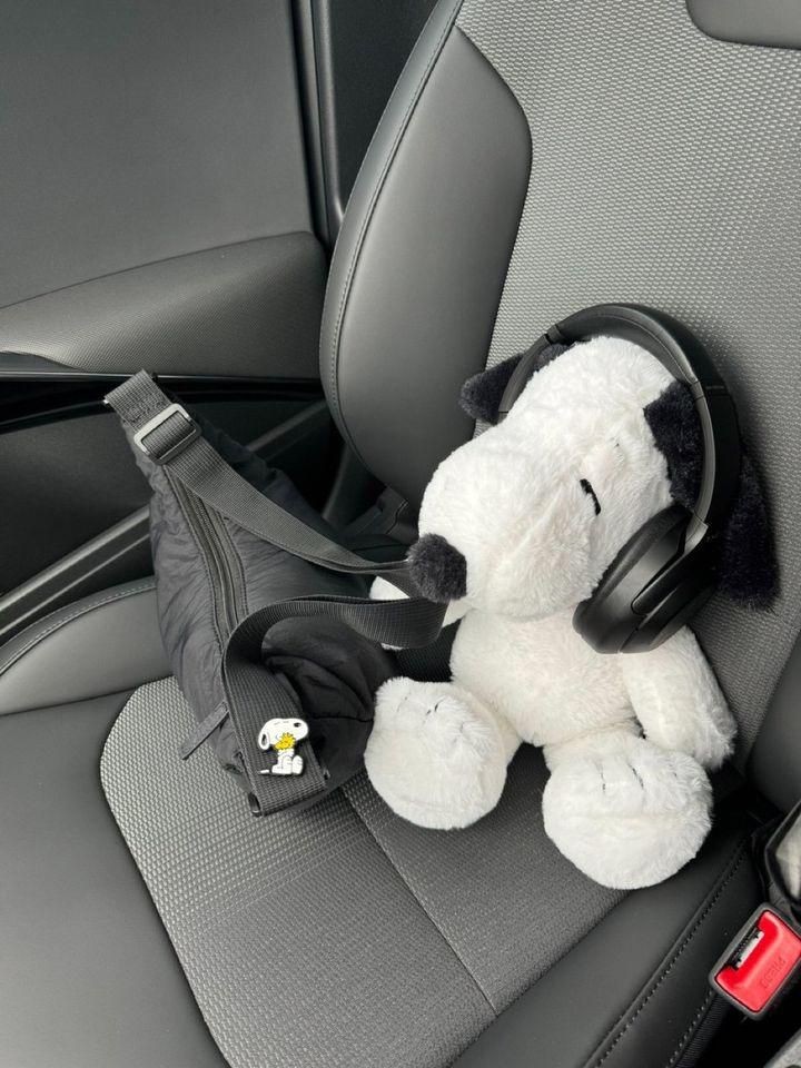 SnoopyFansUS's tweet photo. Snoopy 💕 https://t.co/JVXqjeWloz