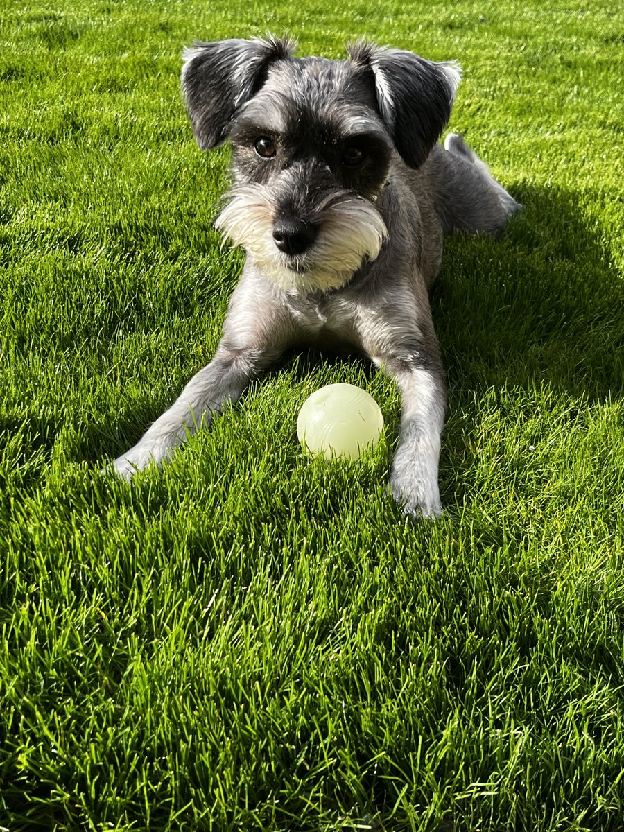 Matthew Stenhouse tweet media